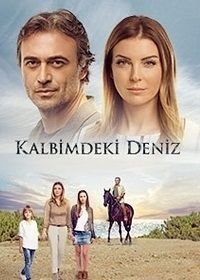 მეორე შანსი (ქართულად) / Дениз в моём сердце / Kalbimdeki Deniz (2017)